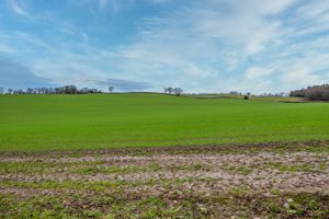 Views- click for photo gallery
